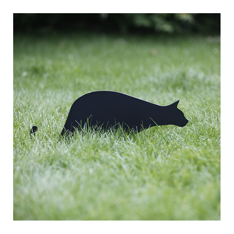 Kot Bonifacy wbity w trawę